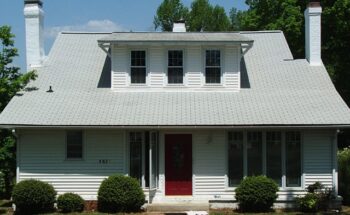 Roof cleaning